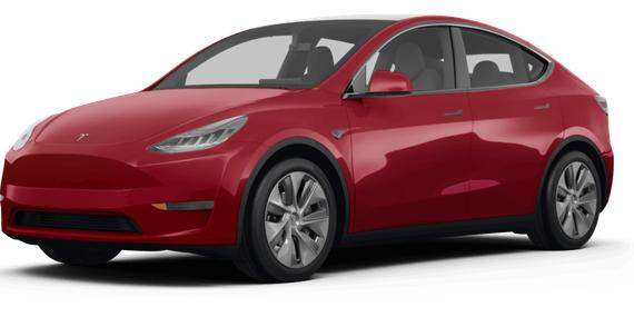 TESLA MODEL Y 2023 7SAYGDEE0PF660354 image